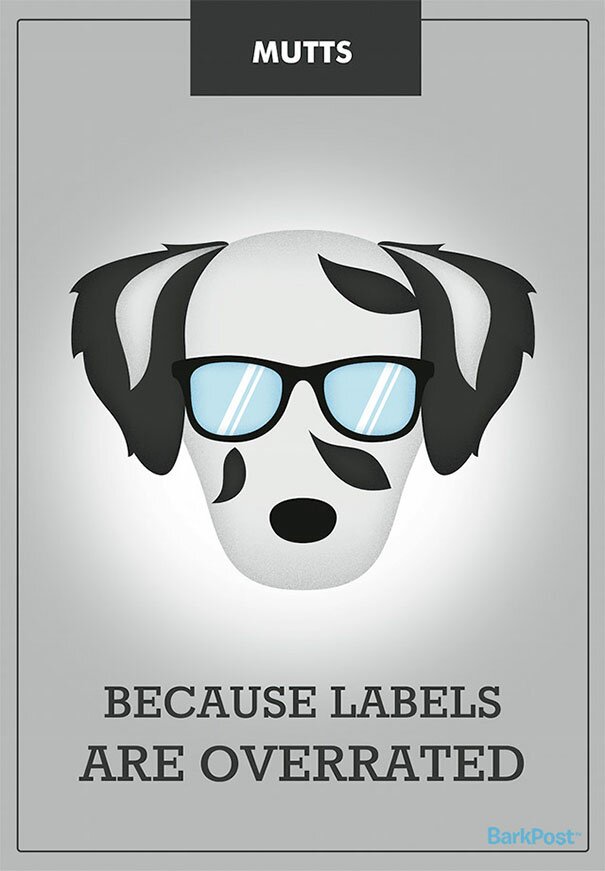 dog-slogans-3