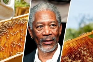 morgan freeman bee keeper