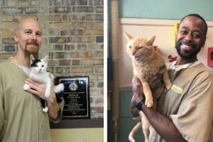 prisoners with shelter cats